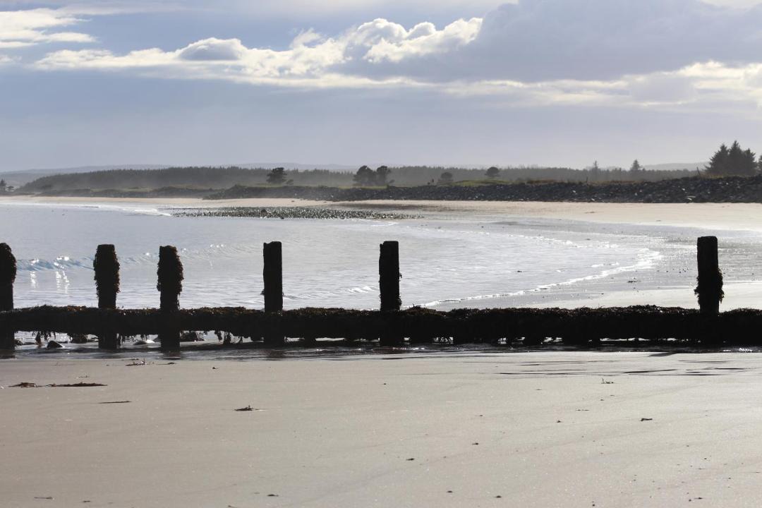 Photo of Others in Golspie