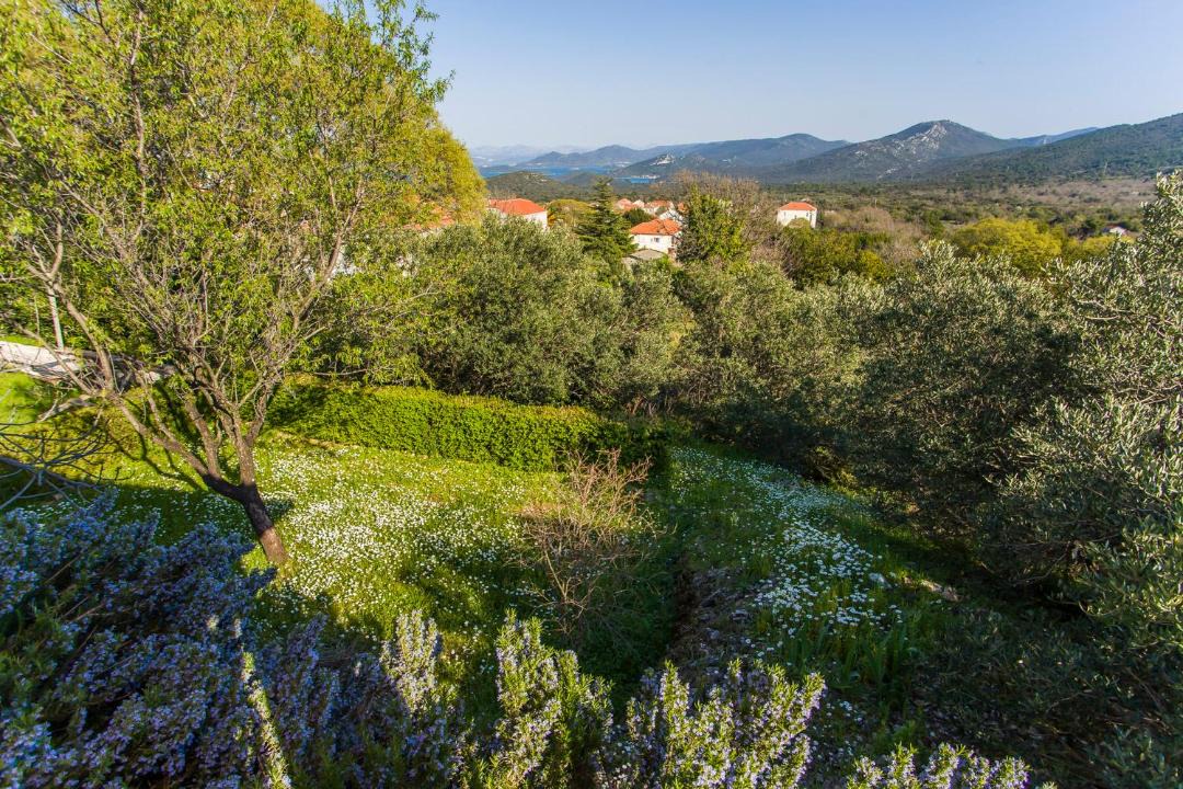 Photo of Outdoor in Janjina