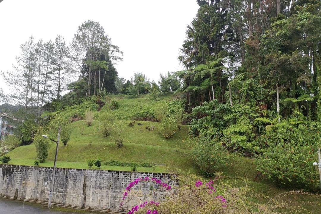 Photo of Outdoor in Sungai Bertam