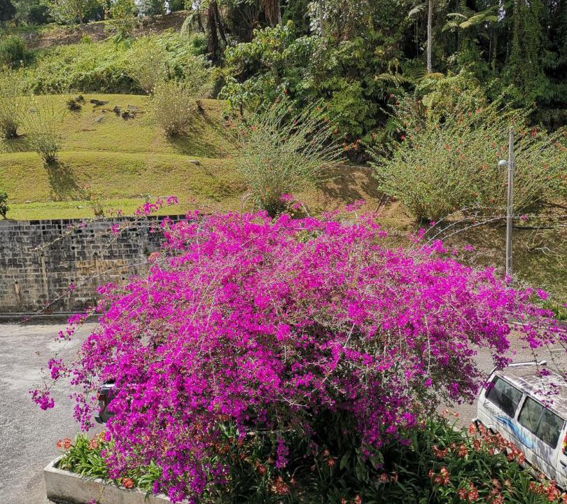 Photo of Others in Sungai Bertam