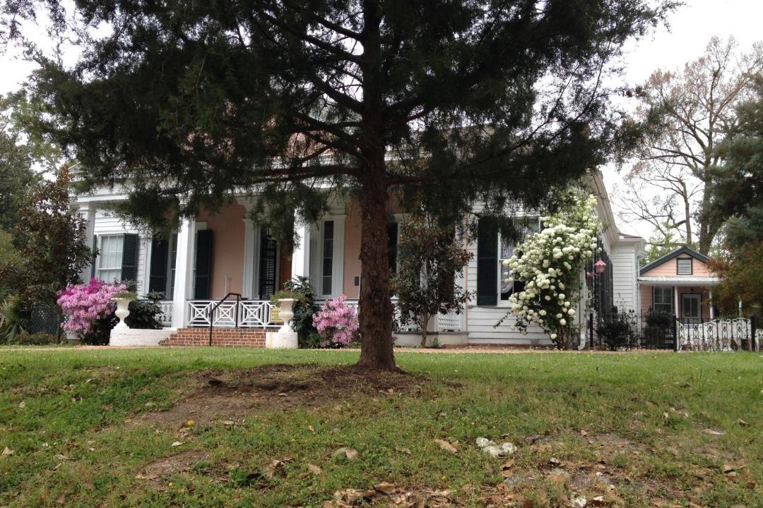 Photo of Others in Natchez