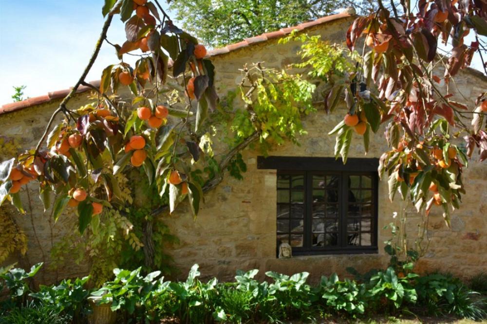 Photo of Buildings in Prayssac