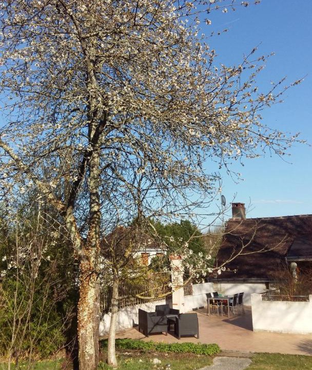 Photo of Others in Orbigny