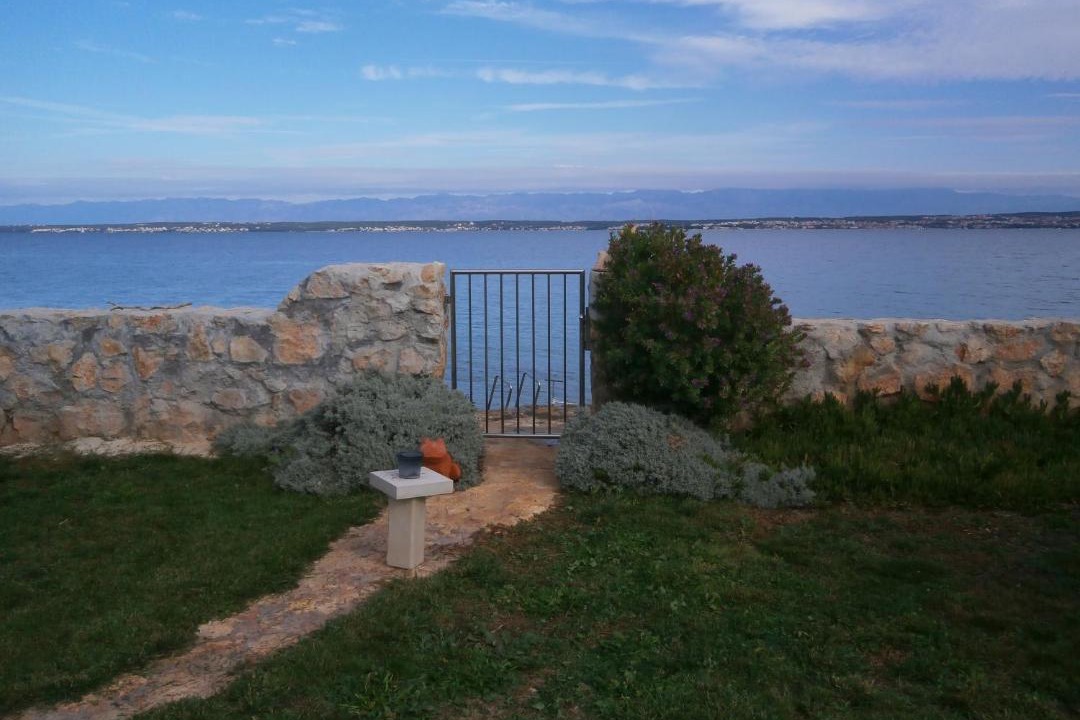 Photo of Others in Sutomiscica