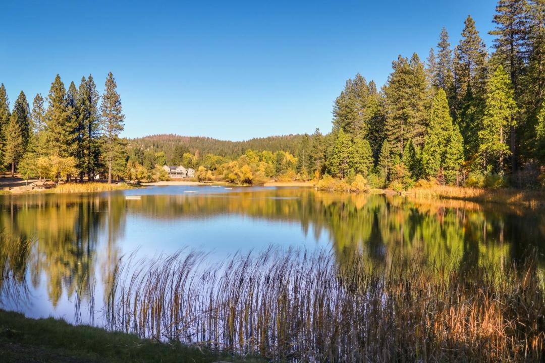 Photo of Others in Glencoe