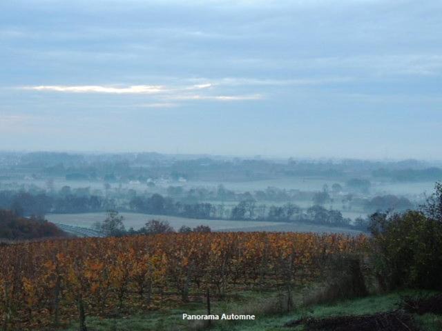 Photo of Others in Faye-d'Anjou