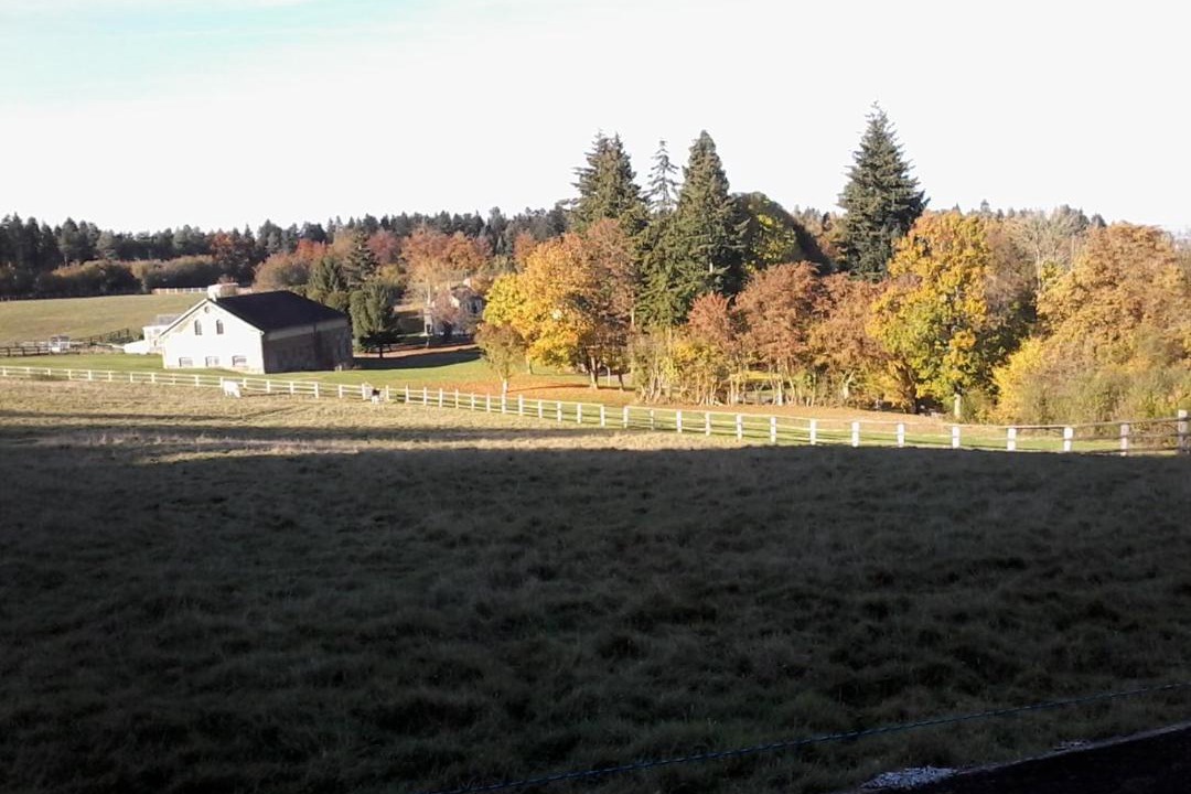 Photo of Others in Tanville