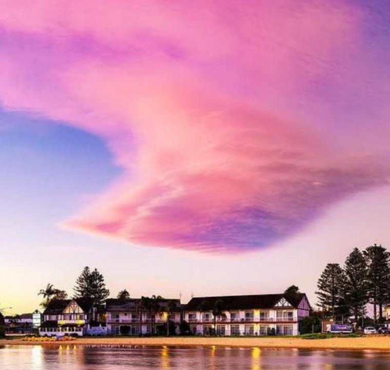 Photo of Others in Wamberal