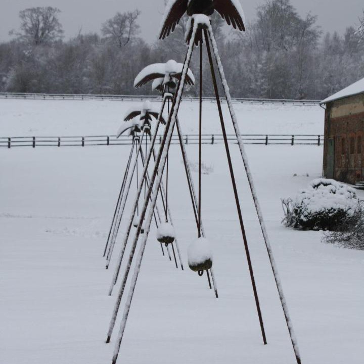 Photo of Others in Tanville