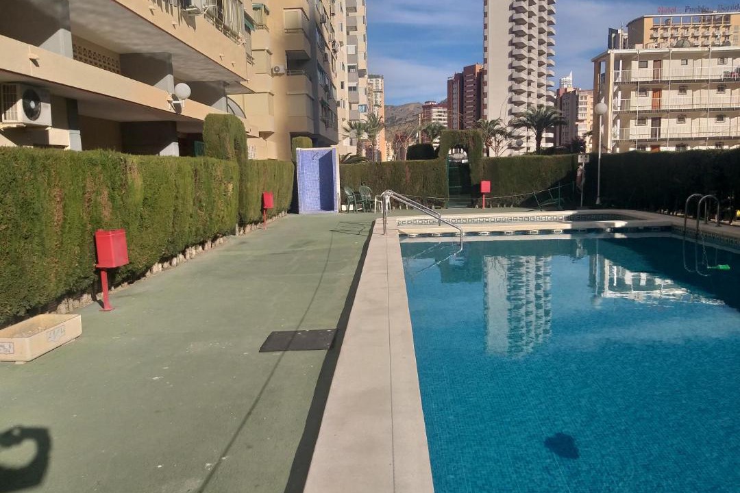 Photo of Others in Benidorm