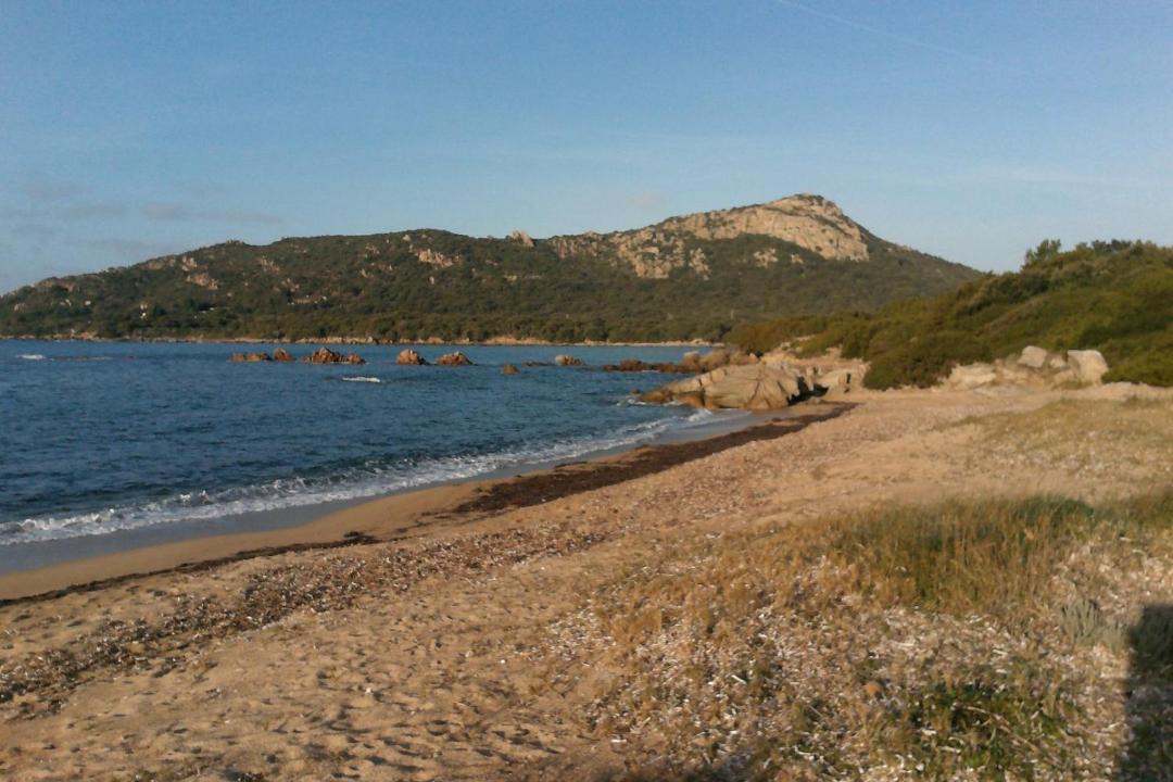 Photo of Others in Pianotolli-Caldarello