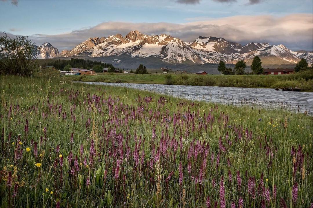 Photo of Others in Stanley