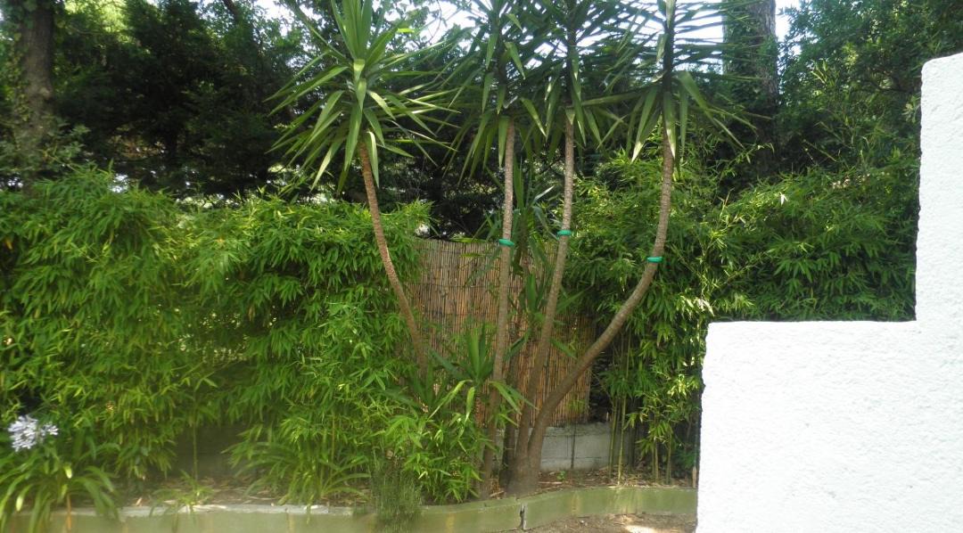 Photo of Others in Ramatuelle