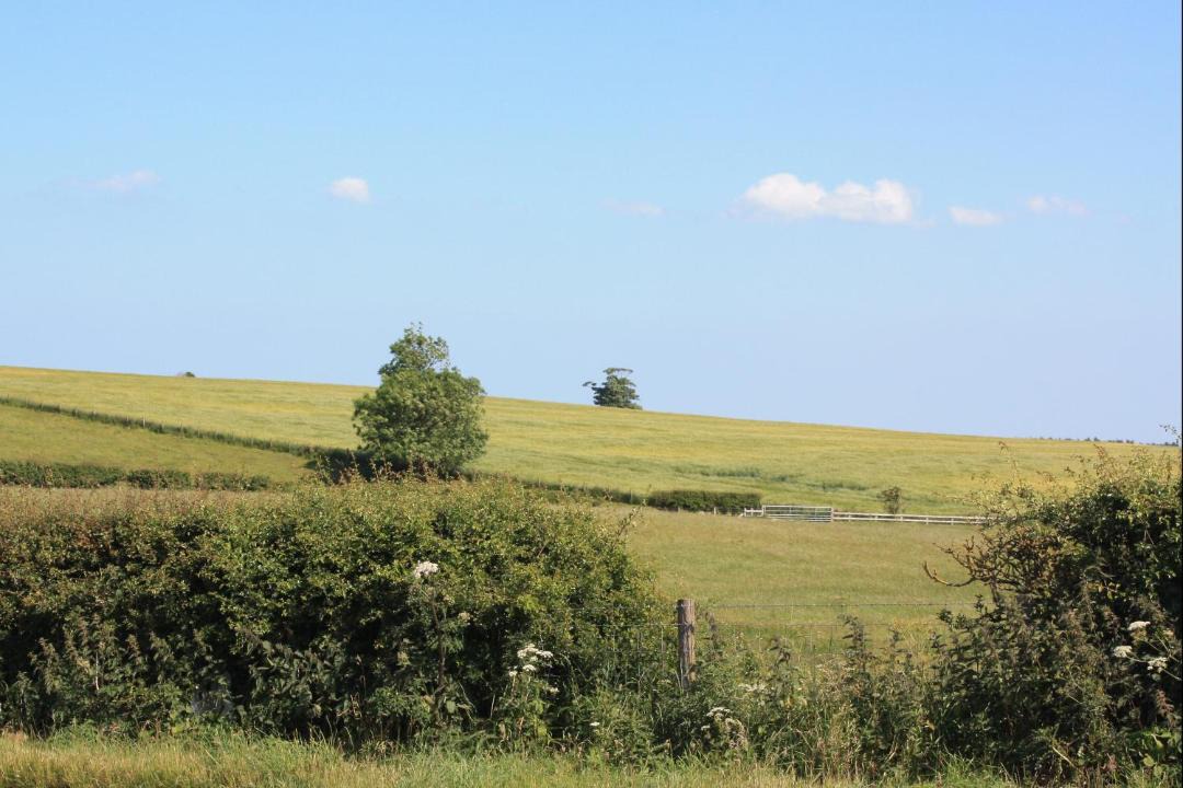 Photo of Others in Adderstone