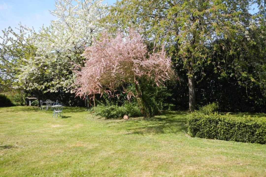 Photo of Others in Saint-Malon-sur-Mel