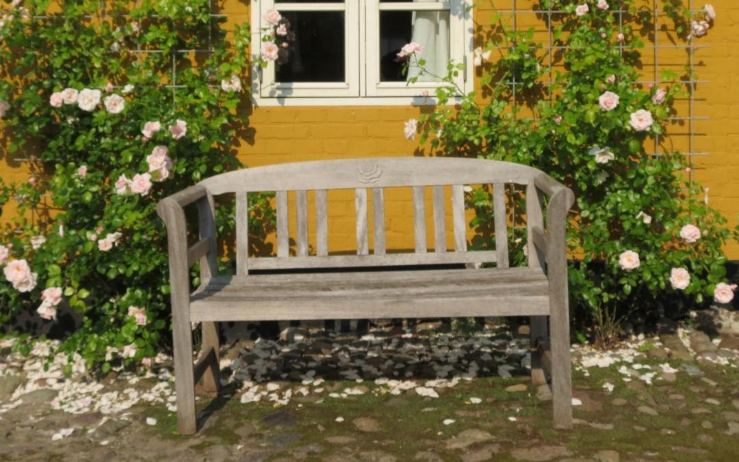 Photo of Buildings in Skalkendrup