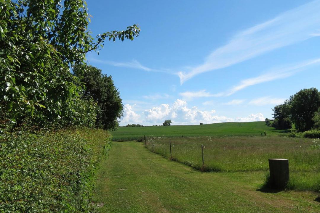 Photo of Outdoor in Skalkendrup