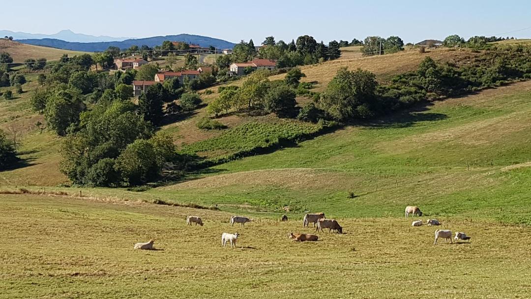 Photo of Outdoor in Auzon