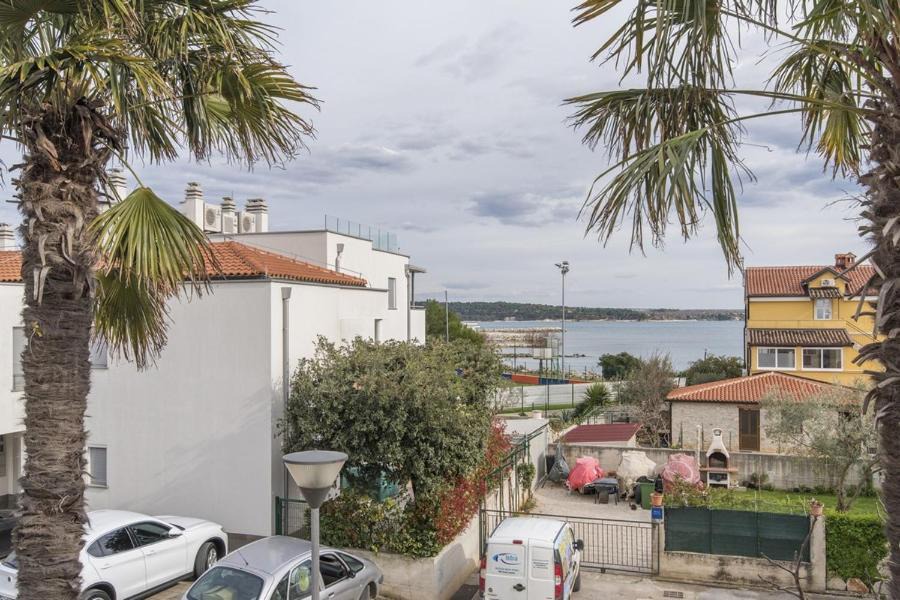 Photo of Others in Novigrad