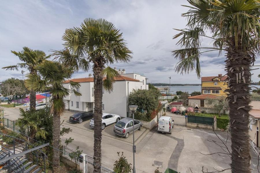 Photo of Others in Novigrad