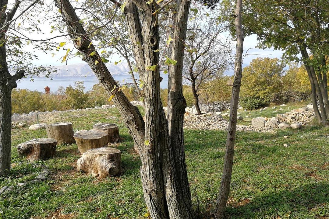 Photo of Others in Senj