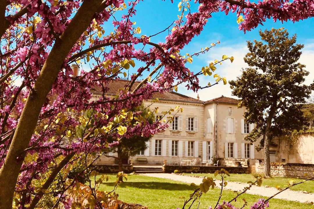 Photo of Others in Sainte-Bazeille