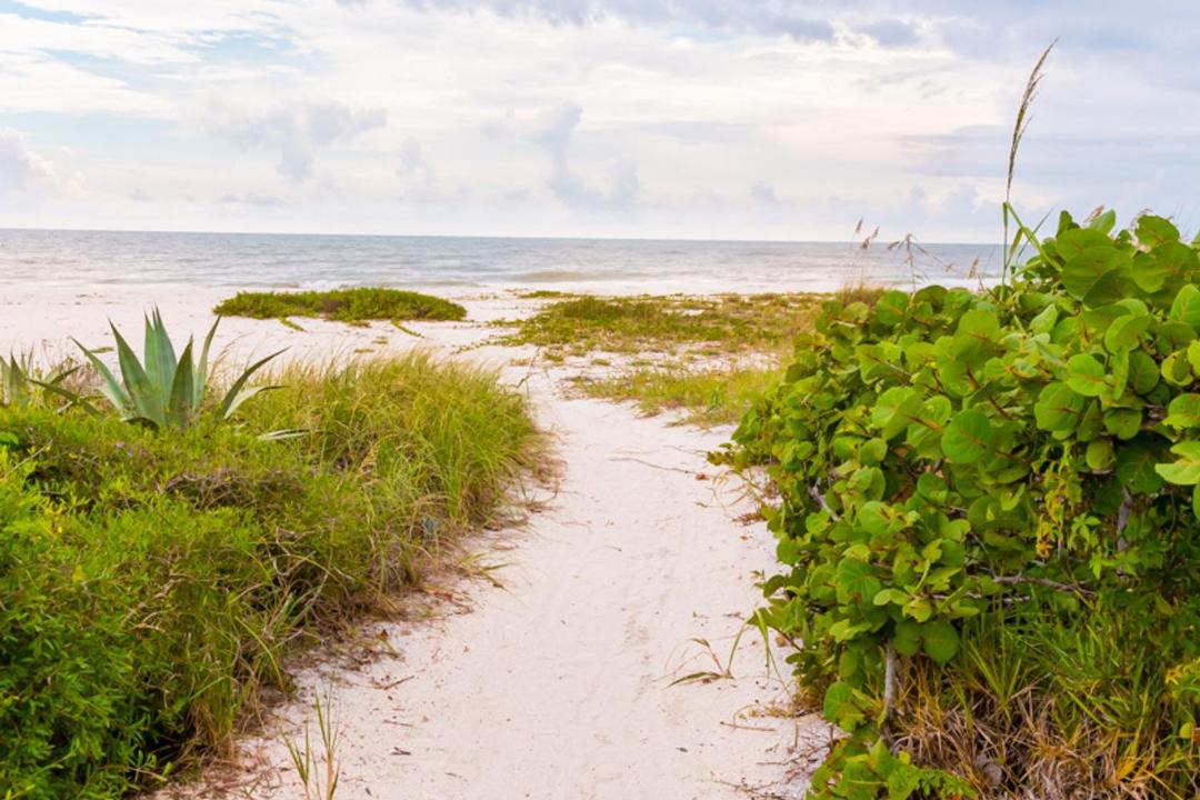 Photo of Outdoor in Sanibel