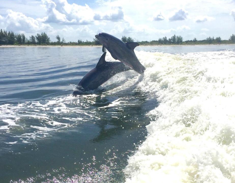 Photo of Others in Sanibel