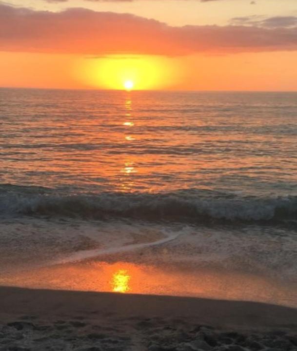 Photo of Outdoor in Sanibel
