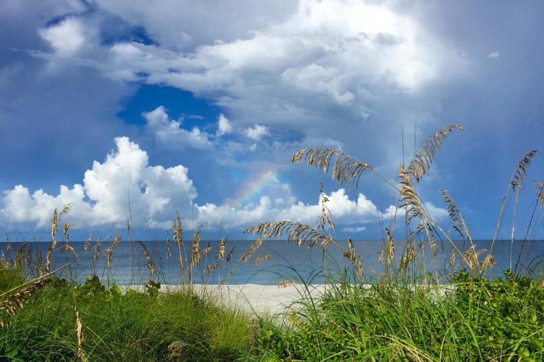 Photo of Others in Sanibel