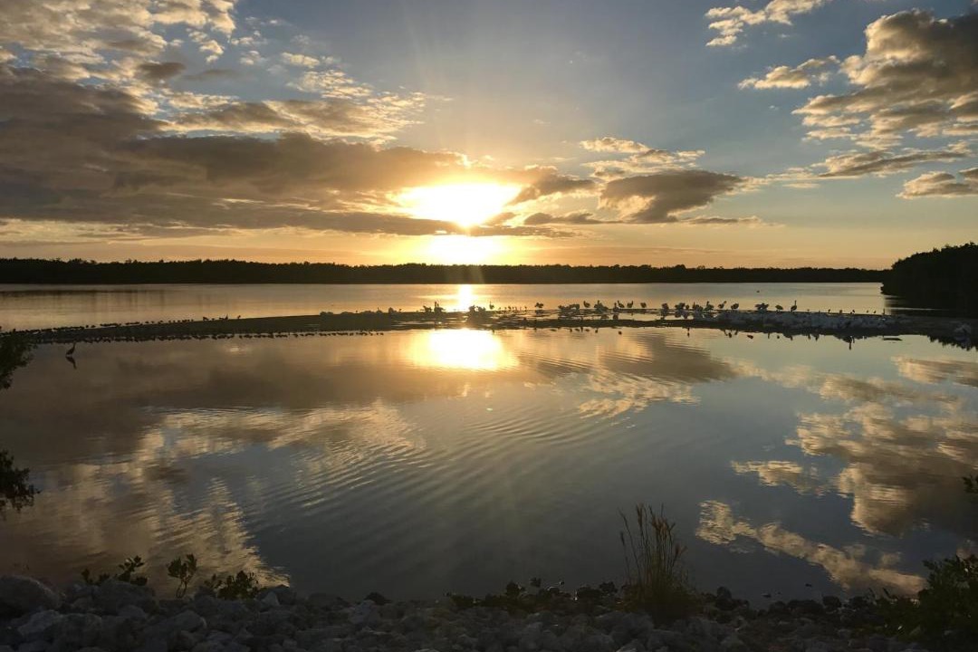 Photo of Outdoor in Sanibel