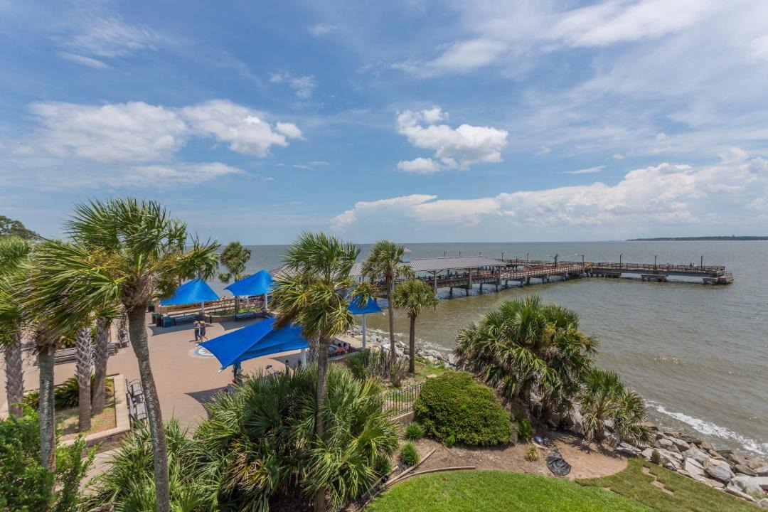 Photo of Outdoor in Saint Simons Island