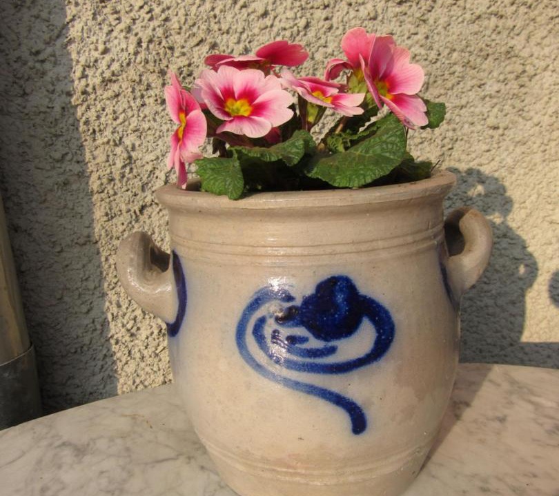 Photo of Others in Donnenheim