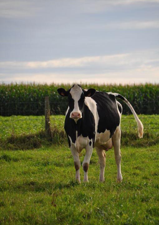 Photo of Others in Monchy-au-Bois