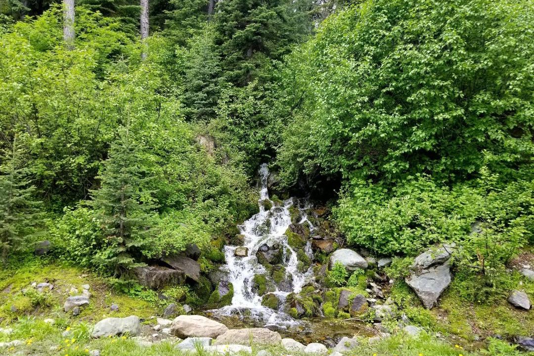 Photo of Others in Riggins