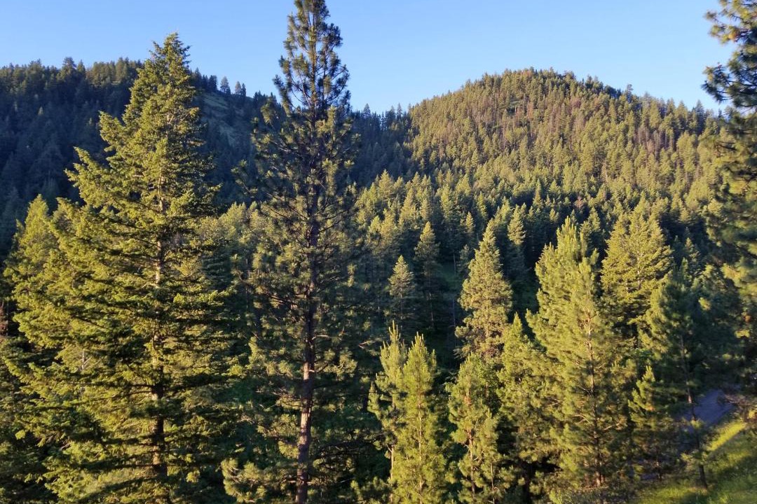 Photo of Outdoor in Riggins