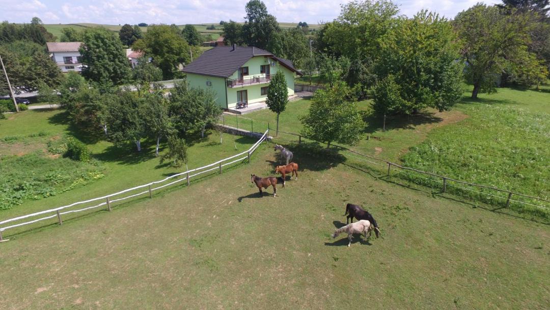 Photo of Others in Irinovac