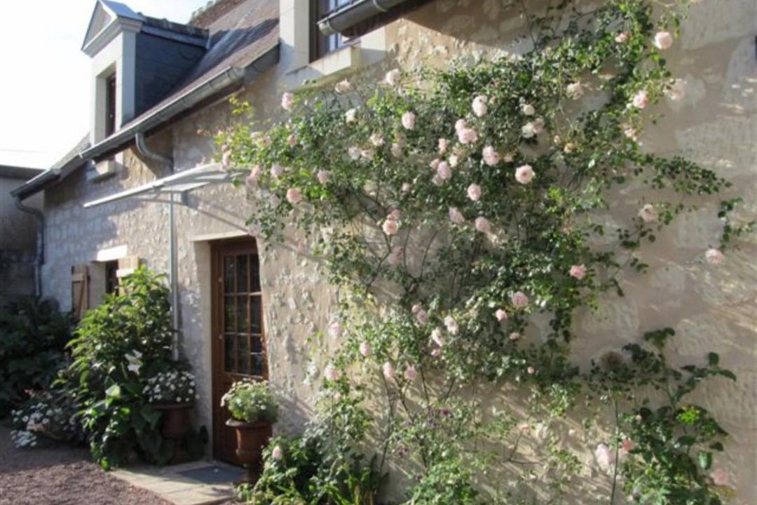 Photo of Others in Anche