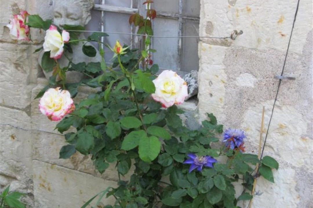 Photo of Others in Anche