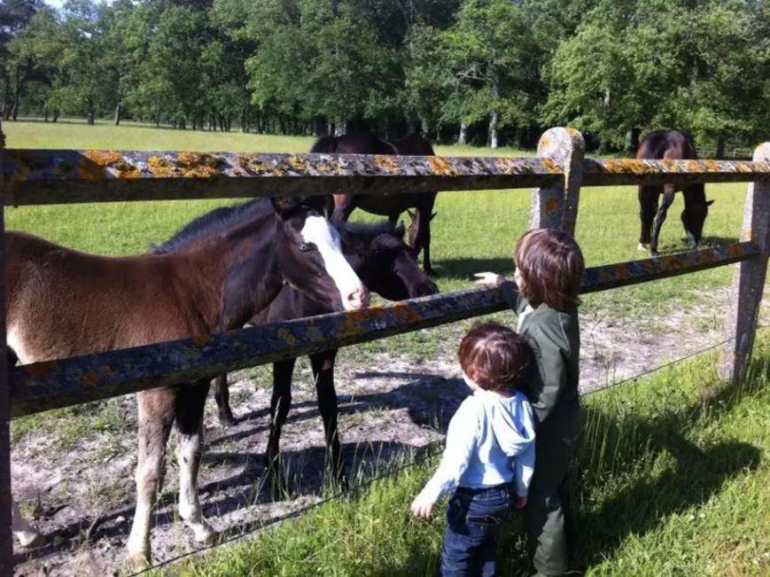 Photo of Others in Salbris