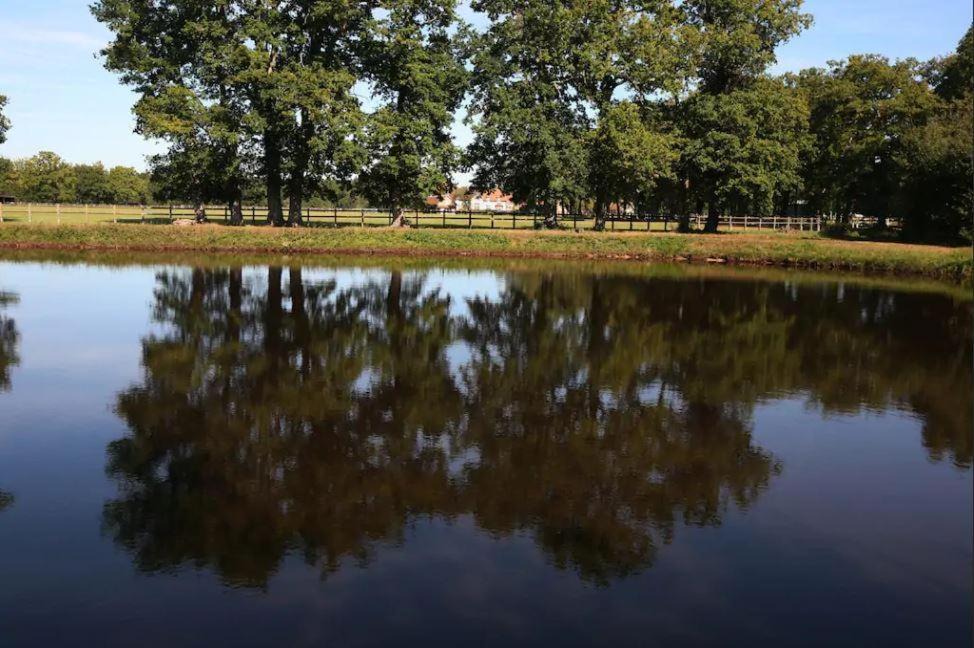 Photo of Others in Salbris