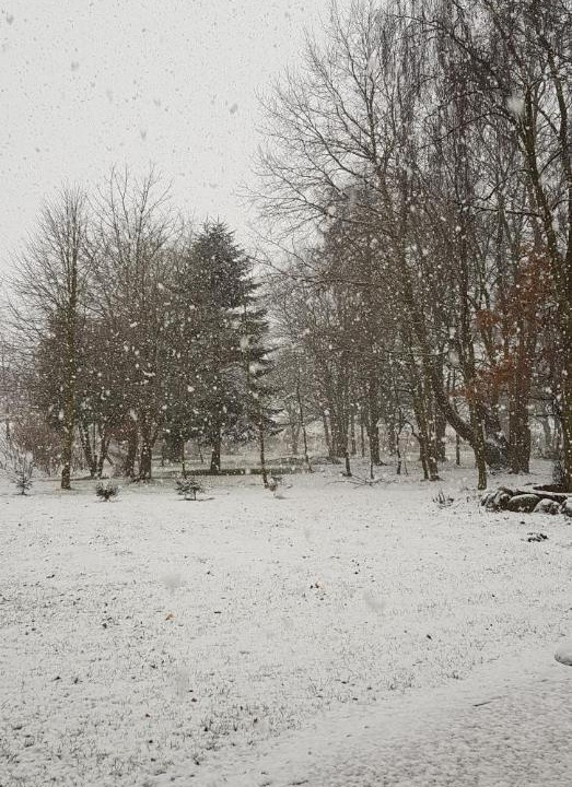 Photo of Others in Padborg