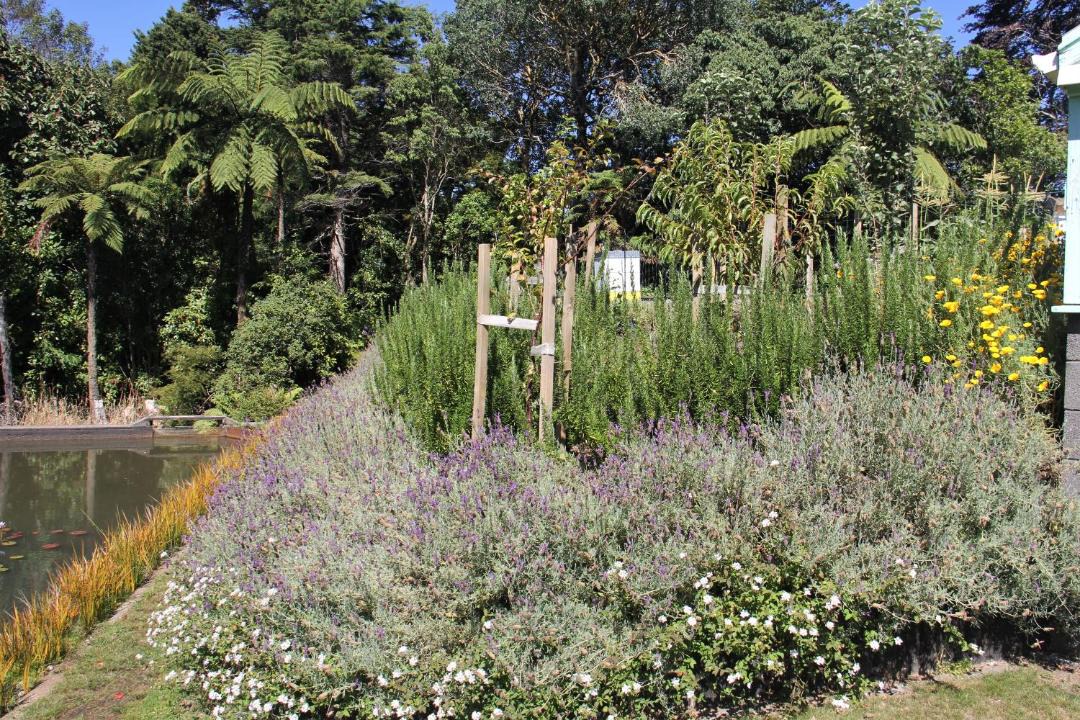 Photo of Outdoor in Stratford