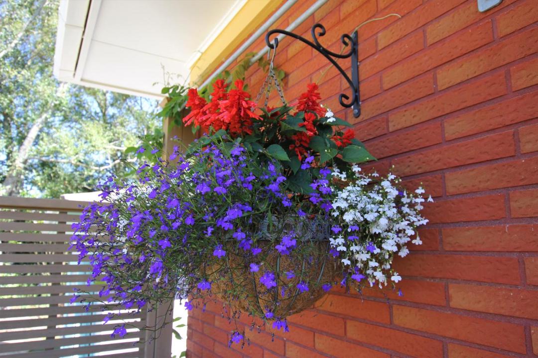 Photo of Others in Stratford