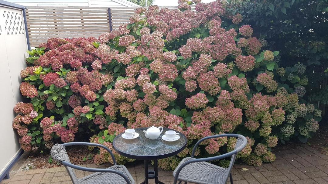 Photo of Others in Otorohanga