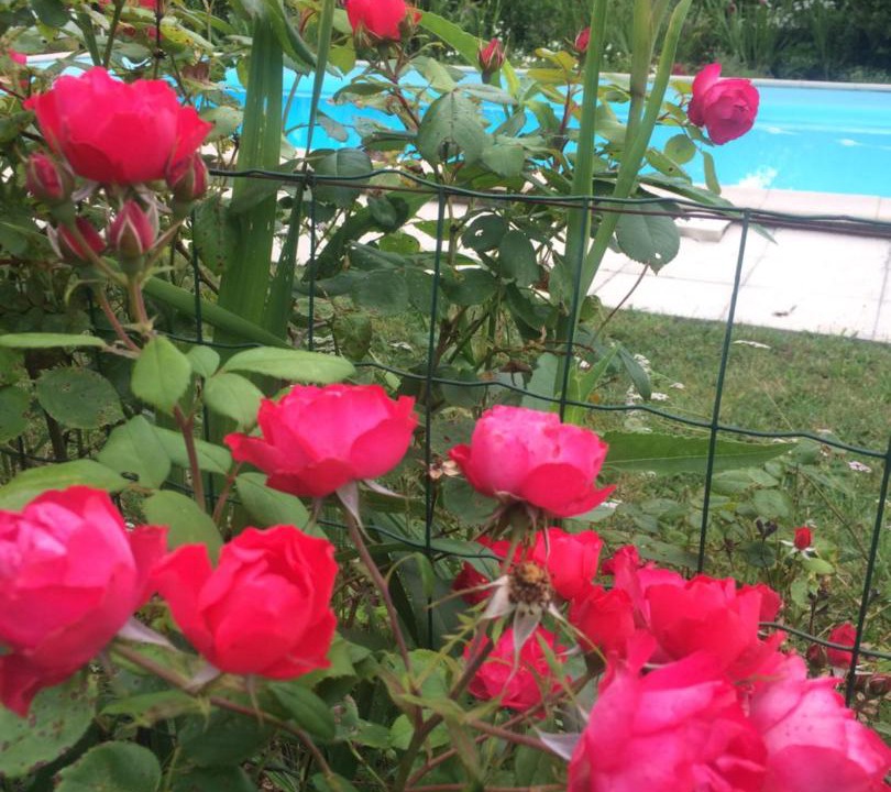 Photo of Others in Uzeste