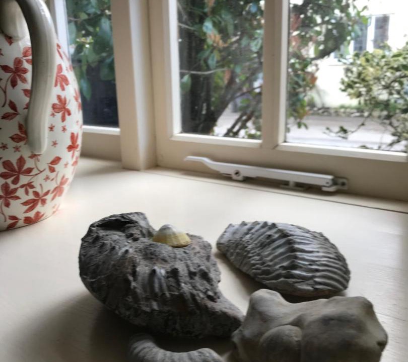 Photo of Livingroom in Sydling St Nicholas