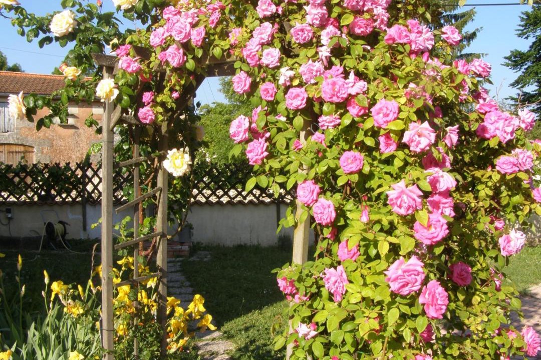 Photo of Others in Saint-Paul