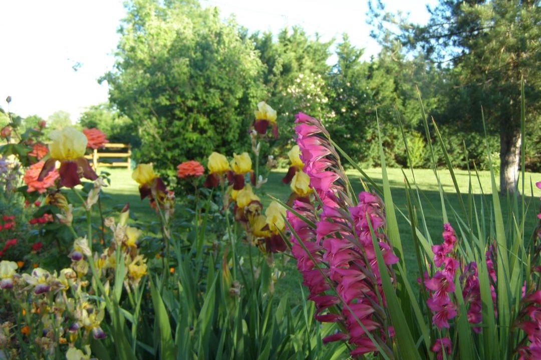 Photo of Others in Saint-Paul