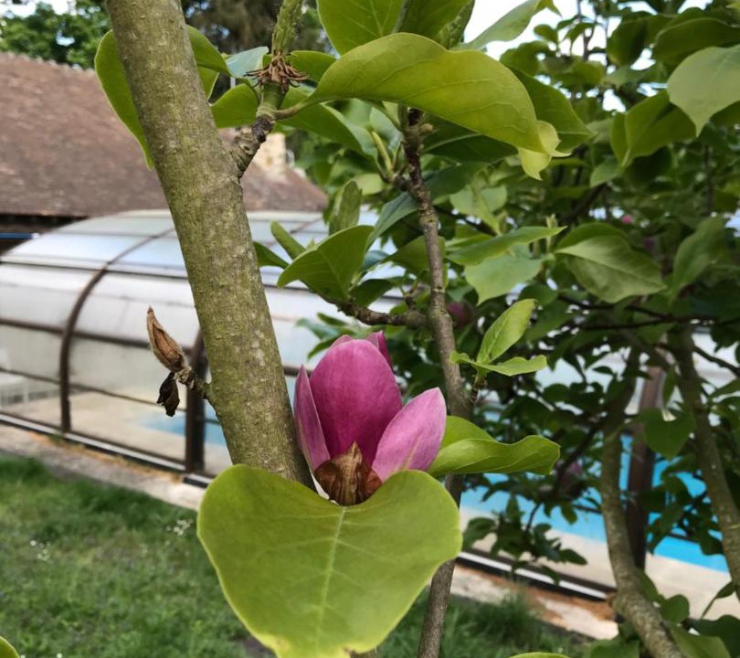 Photo of Others in Saint Germain les Arpajon